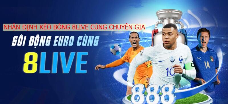Nhận định từ các chuyên gia