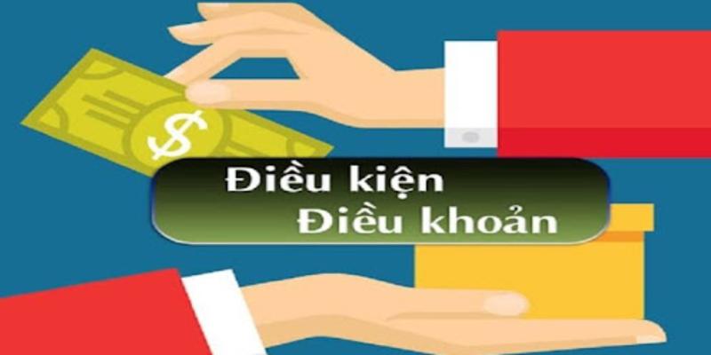 Vài nét về điều khoản và điều kiện tại 8live